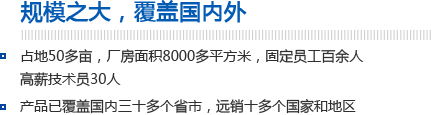 规模之大，覆盖国内外